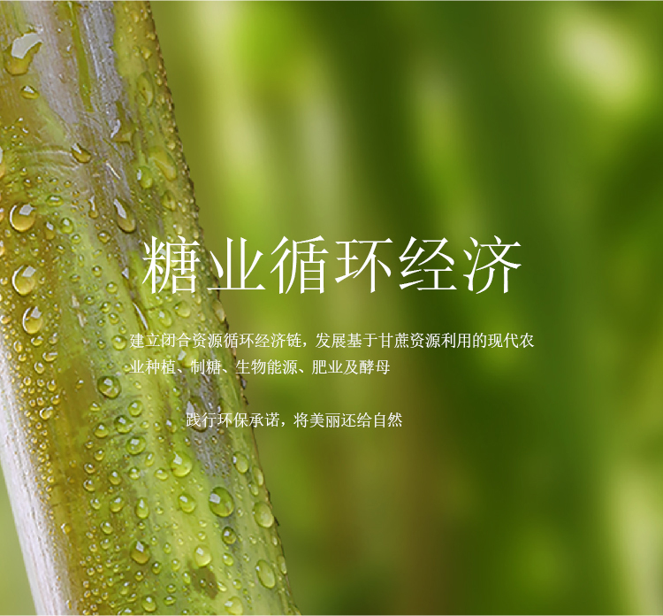 ��ҳ| ����֮��hy590���¹ٷ���վ